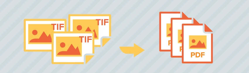 PDF vs. TIFF – which is the right format for your document scanning needs?