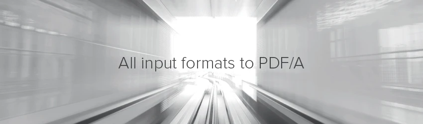 Webinar: All input formats to PDF/A