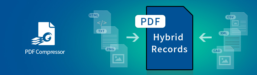 Hybrid Records: Optimizing Hybrid Document Capture