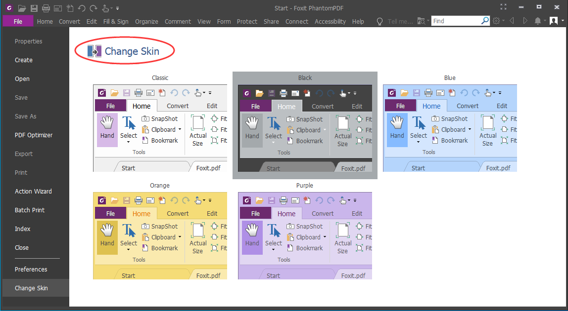 Customize the Skin - 1