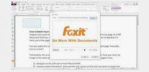 A Guide to Modifying Images in a PDF