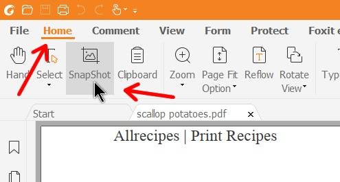 pdf editor snapshot tool