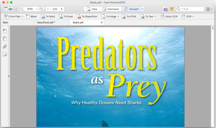 Convert PDF To Word & Other Formats