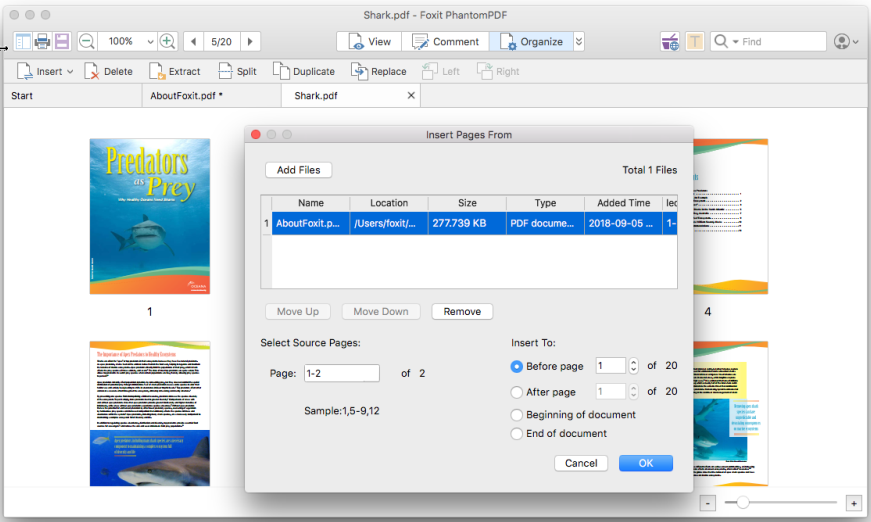 Combine and Merge PDF