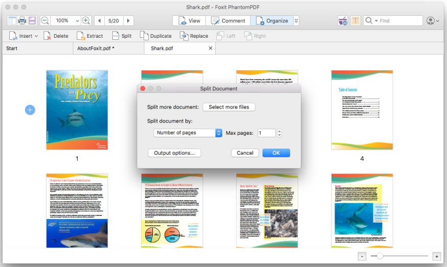 Manage and Split PDF