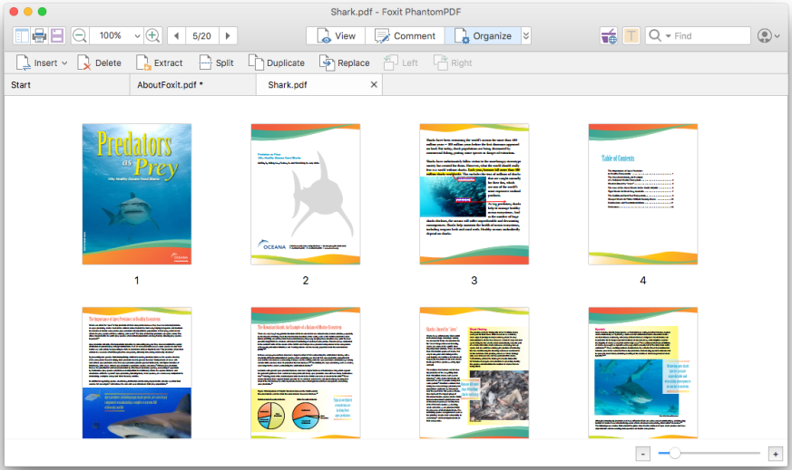 Reorganize PDF Documents