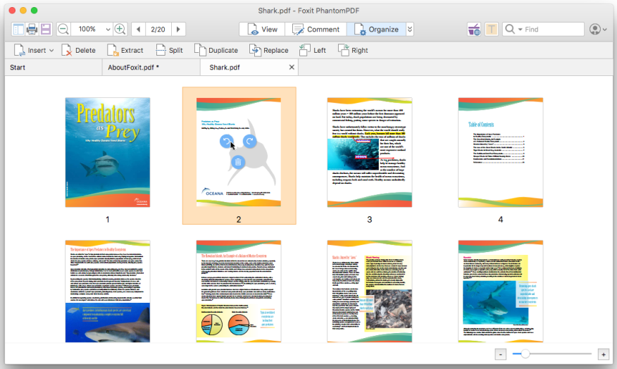 Rotate PDF Pages