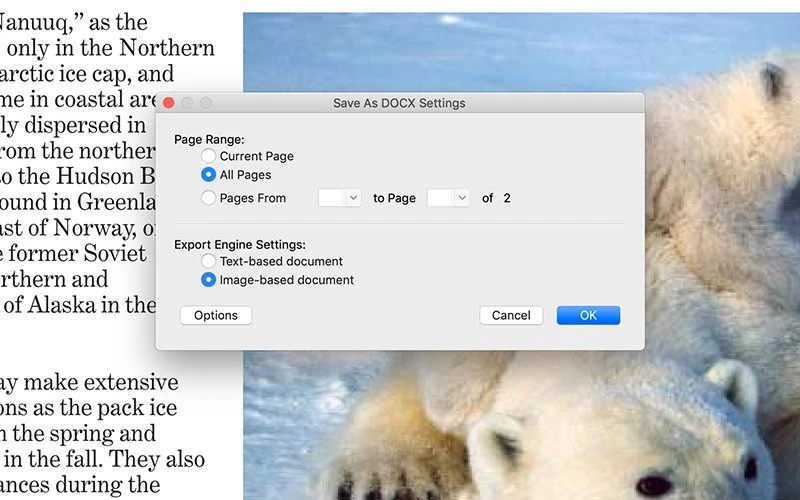 How to Create and export with PDF Editor for Mac