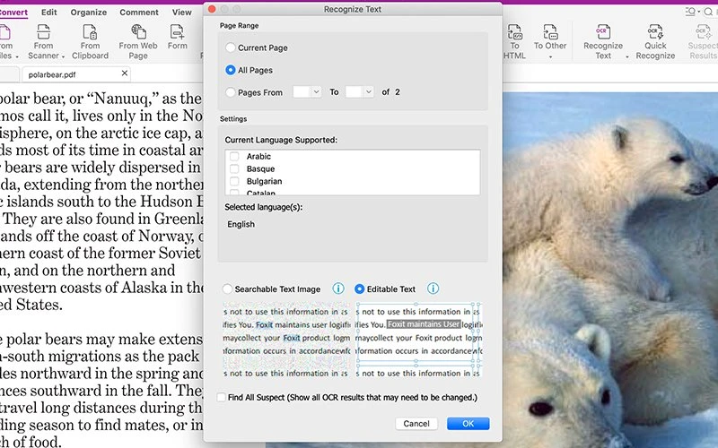 How to OCR PDF files with PDF Editor für Mac