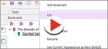 Add Bookmarks to PDF