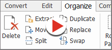 Organize PDF